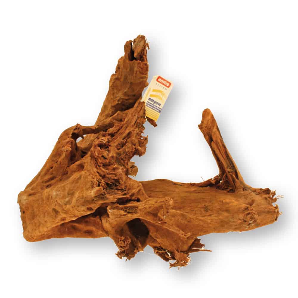 Drvo Mangrovia 30-50cm