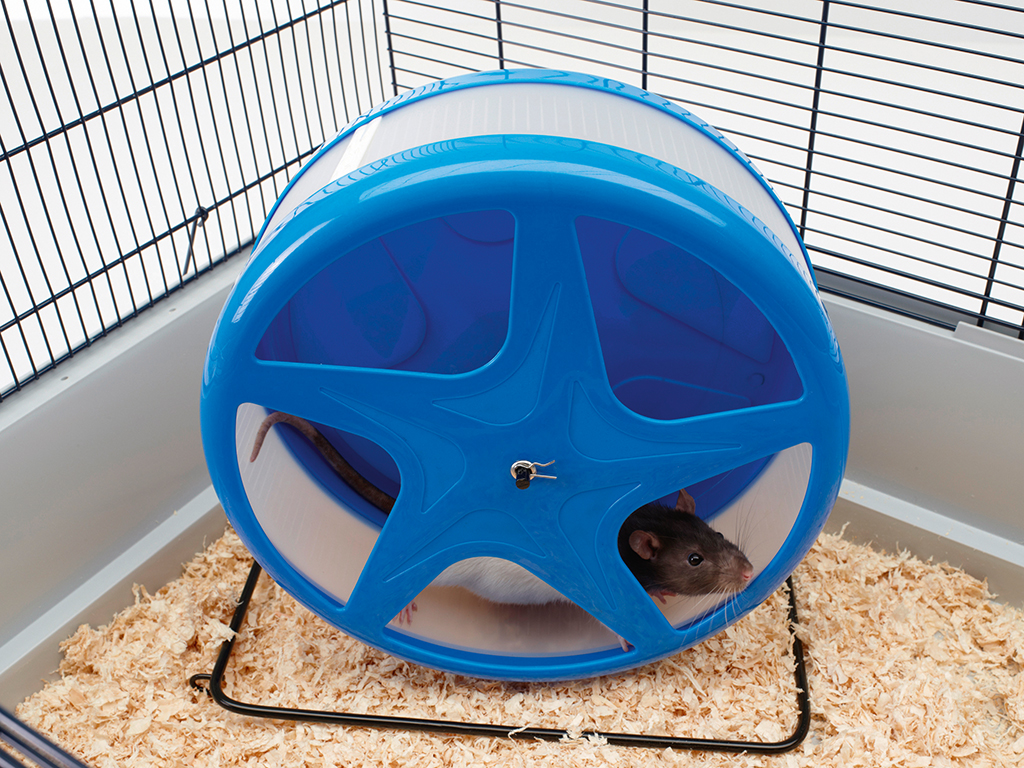 Kolut za hrčka Orbital LG mix