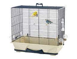 Krletka 65x38x56,5cm Primo 50 plava