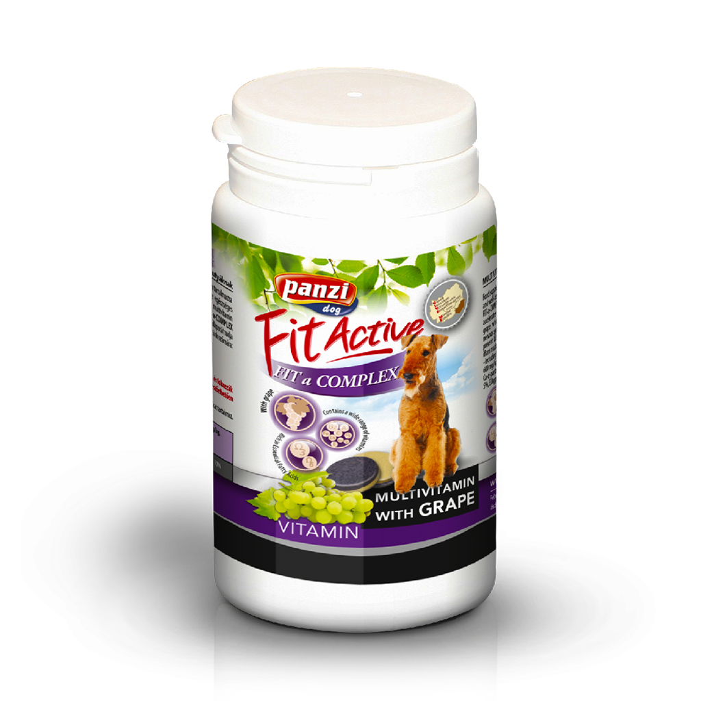 Panzi Fit-Active Vitamini Complex 60g