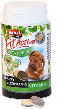 Panzi Fit-Active Vitamini Puppy 60g