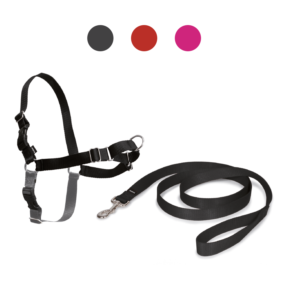 Ham+Vodilica Easy Walk S Crni