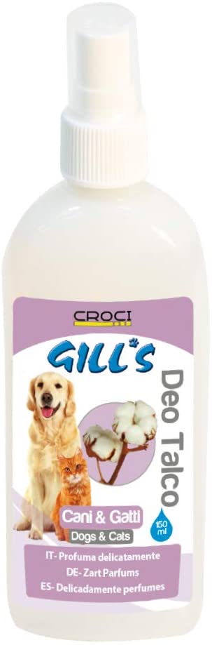 Gills deo 150ml Puder
