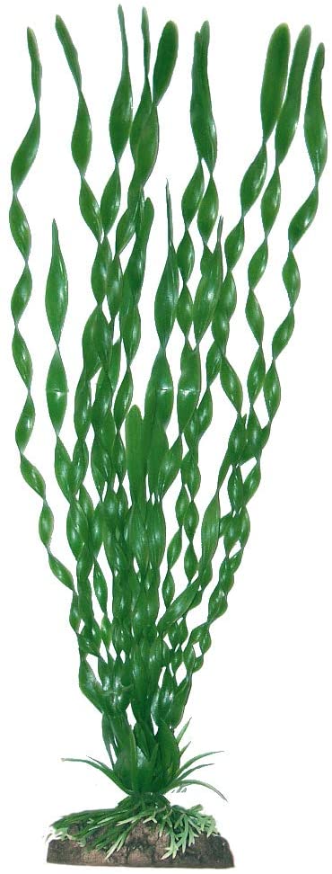 PLASTIČNO BILJE S 12cm VALISINERIA