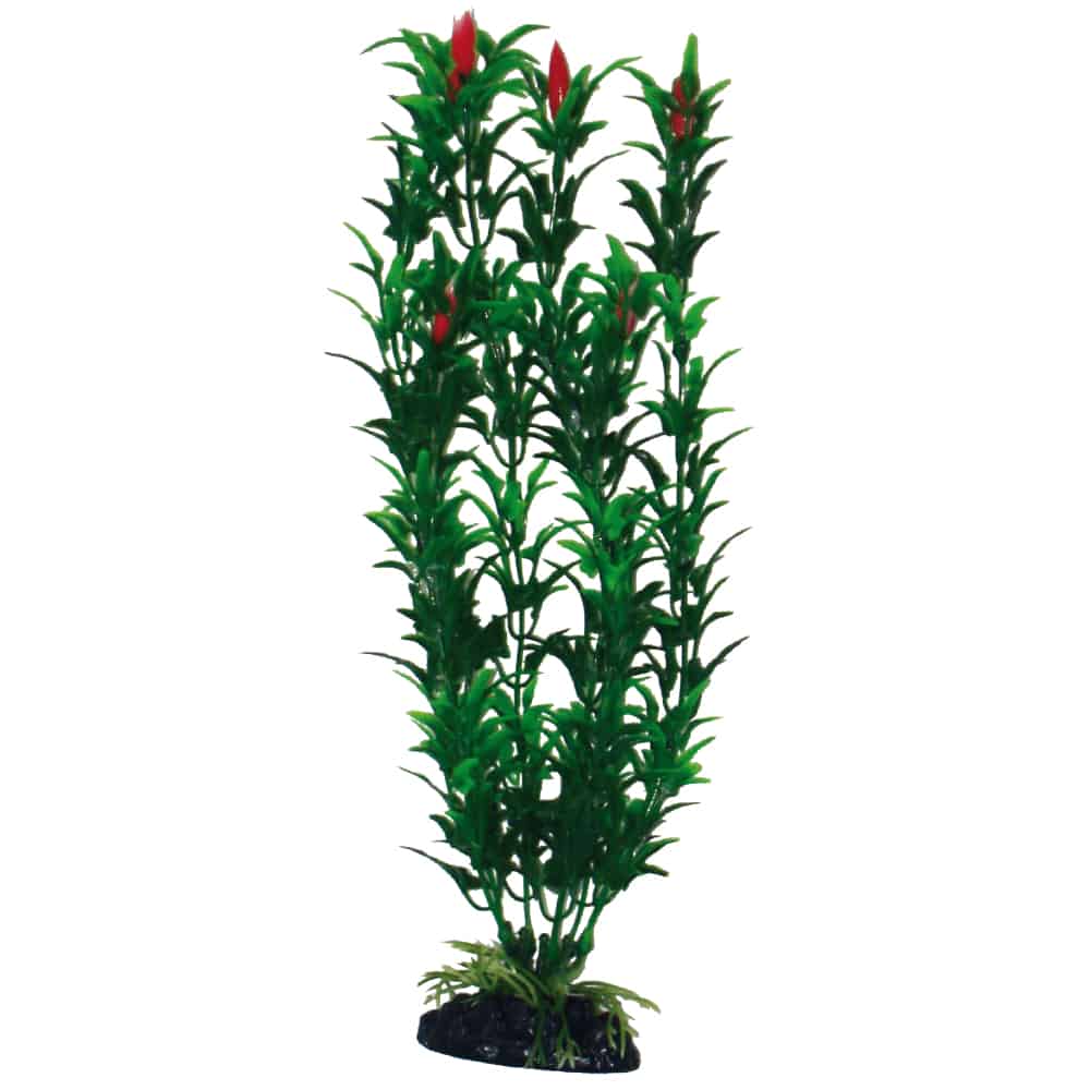 PLASTIČNO BILJE M 18cm Egeria Flower bicolor