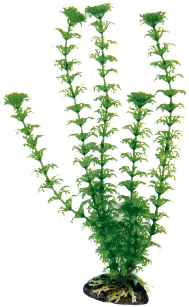 PLASTIČNO BILJE S 12cm CABOMBA