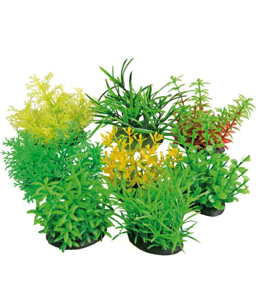 PLASTIČNO BILJE S 7cm TROPICAL