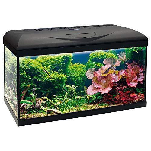 W Akvarij Basic 60 60x32x42cm 65lit