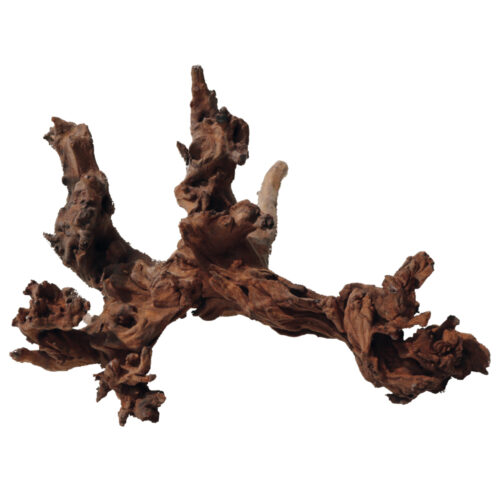 Drvo Mystic MD 30-40cm