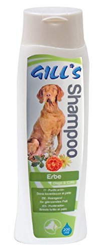 Gills šampon Herbal 200ml