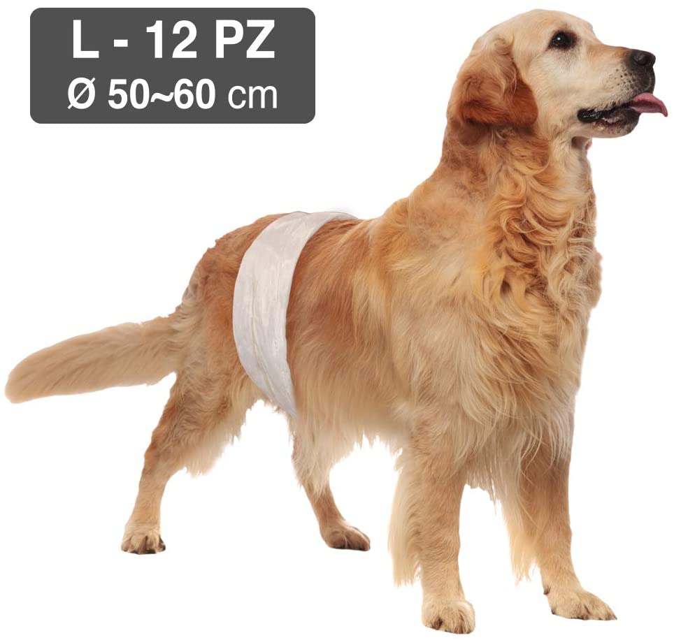 Pelene-pojas L muški psi 50-60cm 12 kom