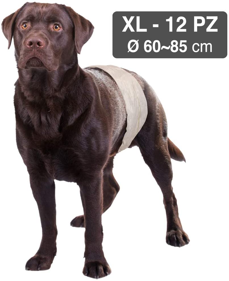 Pelene-pojas XL muški psi 60-85cm 12 kom