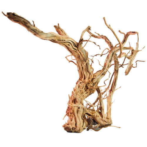 Drvo Dragon skin M 60-90cm