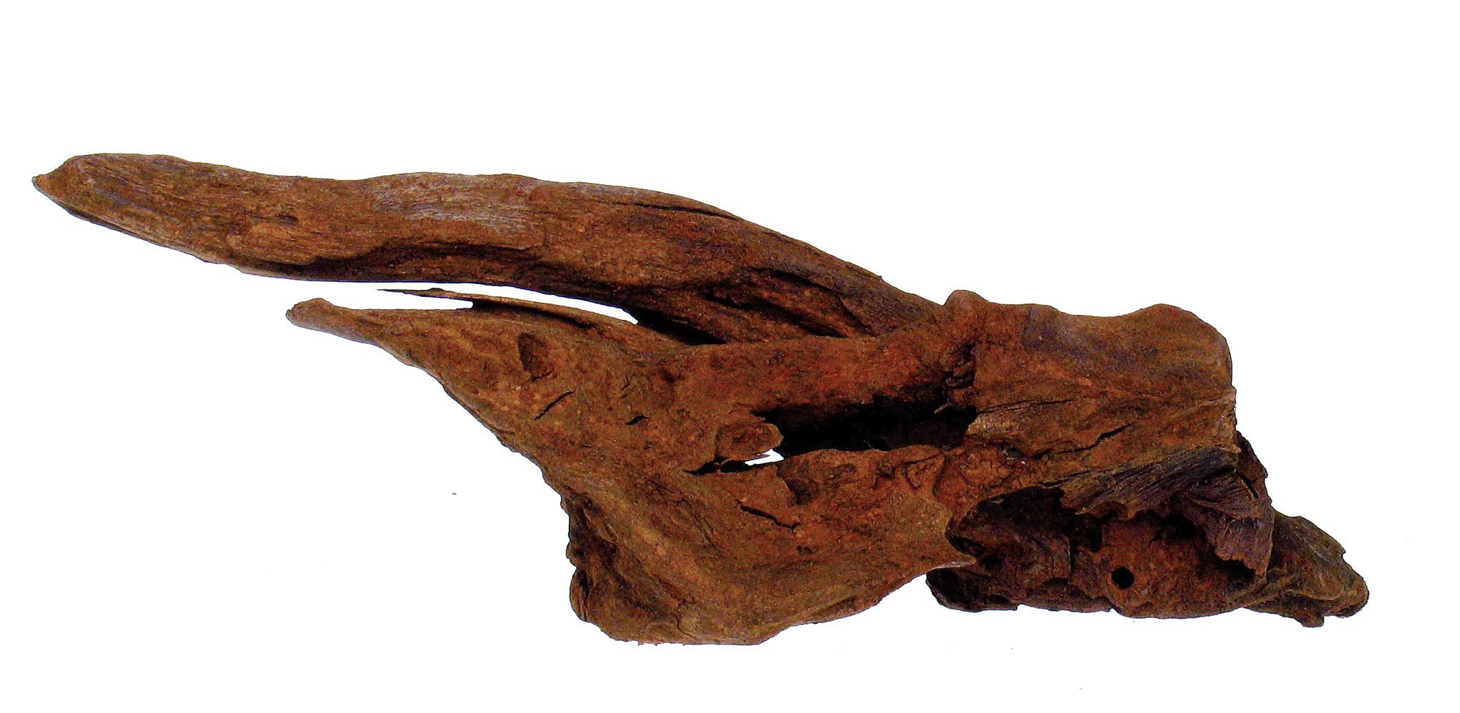 Drvo Jati SM 10-14cm Tatrapet