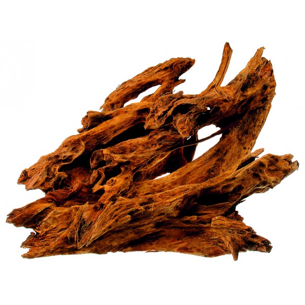 Drvo Mangrovia L 35-45cm Tatrapet