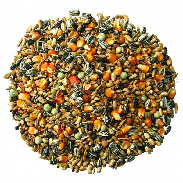 Hrana za golubove 1kg Fantasia Tatrapet