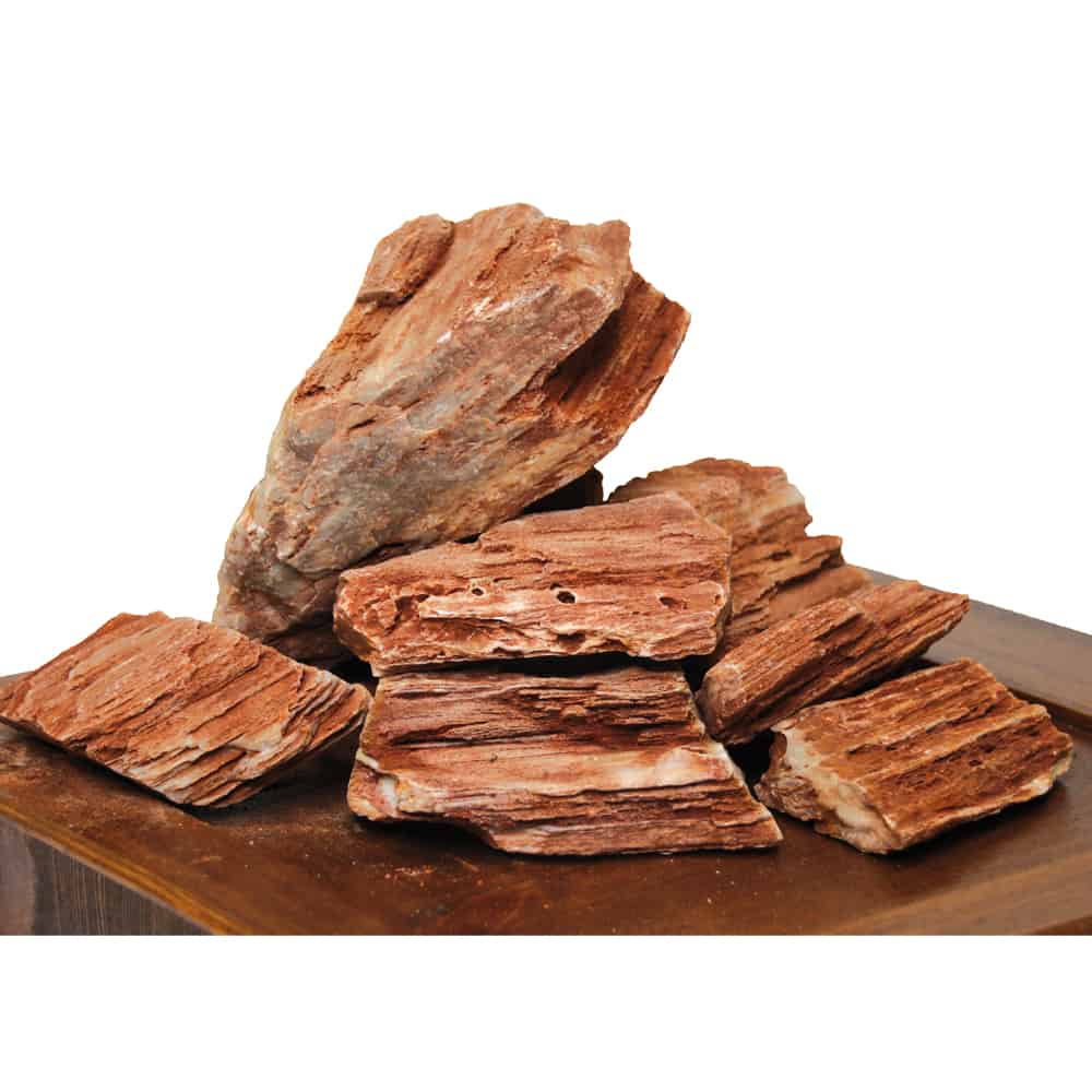 Kamen Smeđi Fosil drvo 1kg