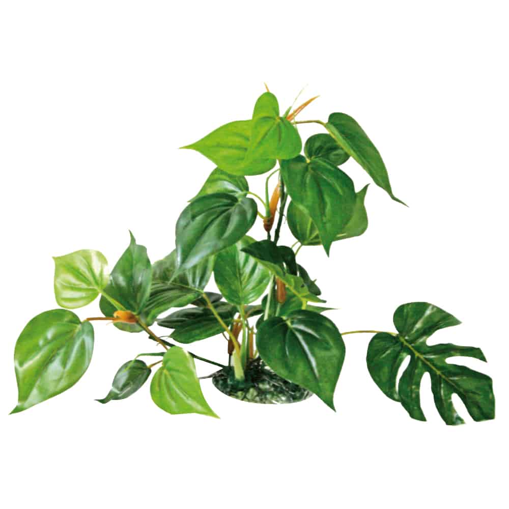 PLASTIČNO BILJE M 20cm ANUBIAS svileno